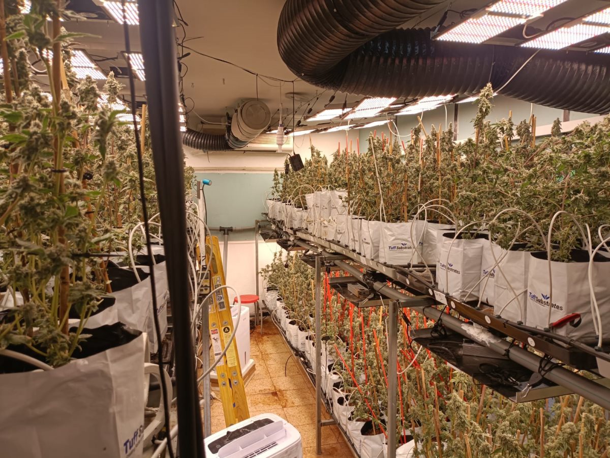 דוברות המשטרה