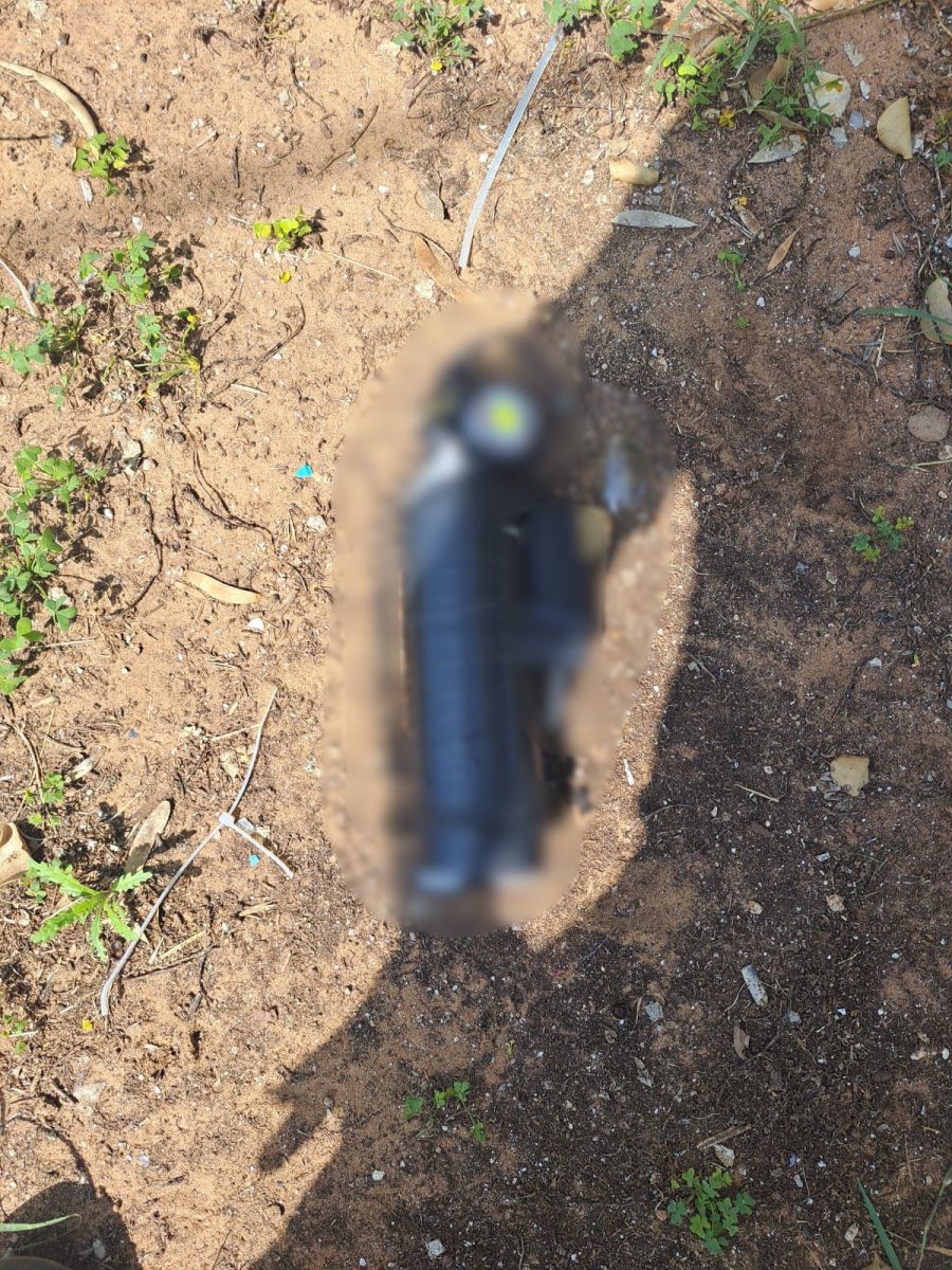 דוברות המשטרה