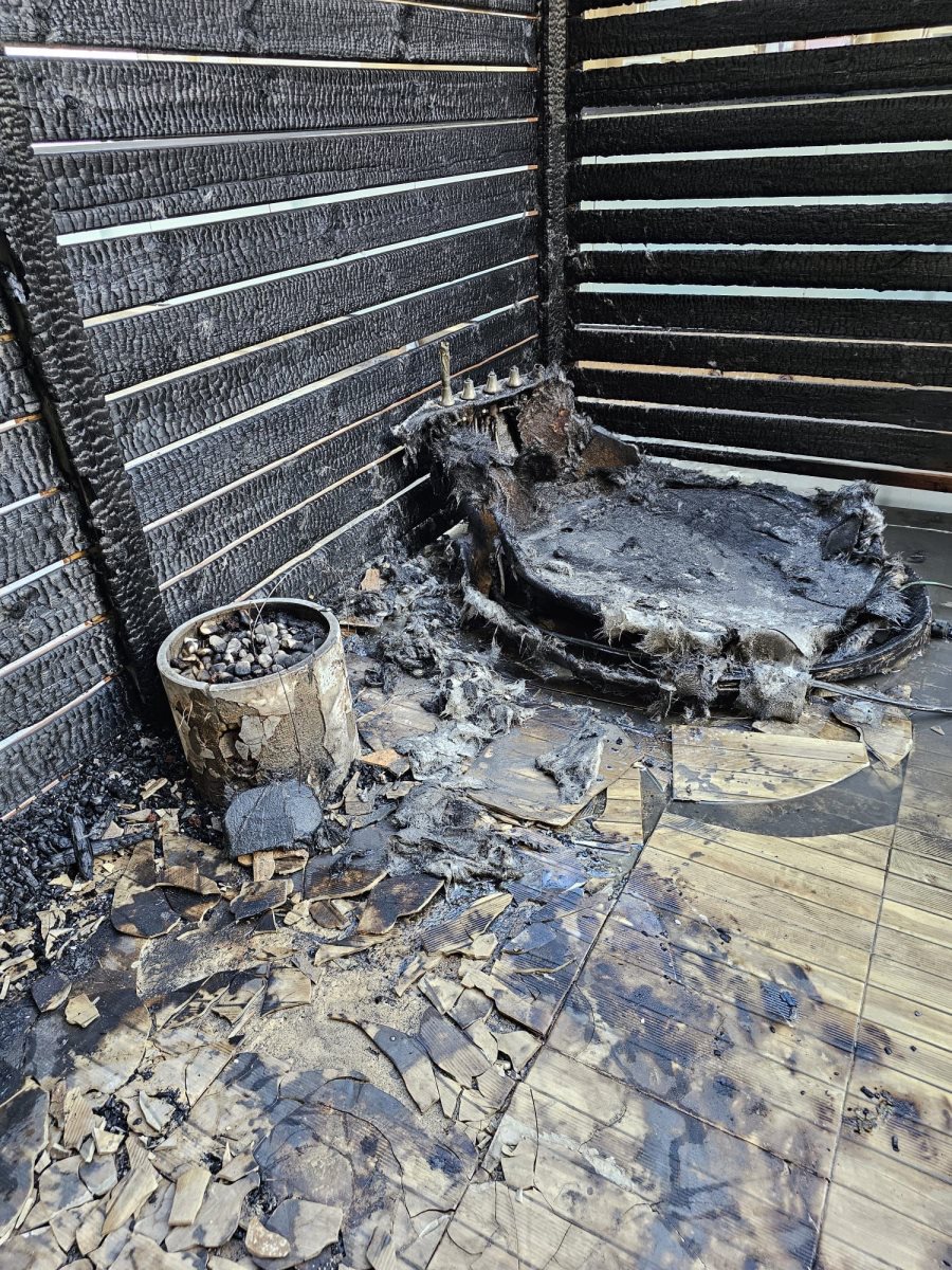 דוברות מכבי האש