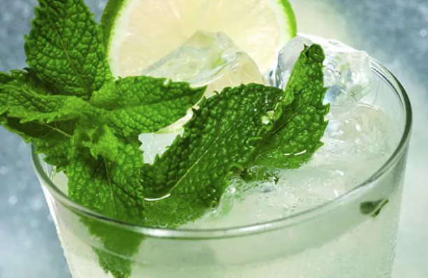 באדיבות נורוויג'ן קרוז ליין (NCL)