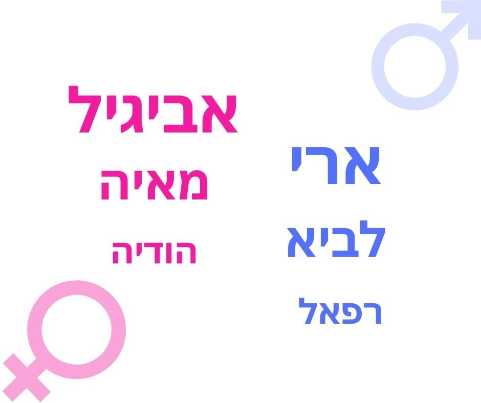 תמונת מערכת