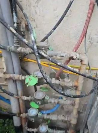 צילום: שרית בשן