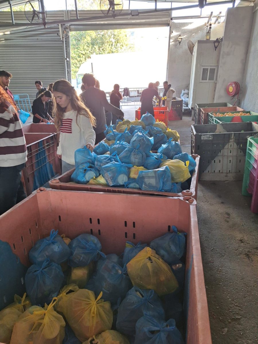 מכינה קדם צבאית בינ"ה