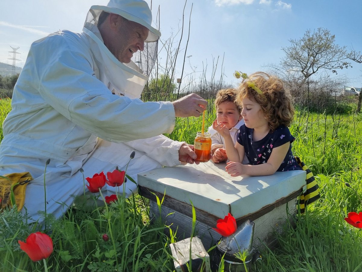 צילום מכוורת דבורת התבור