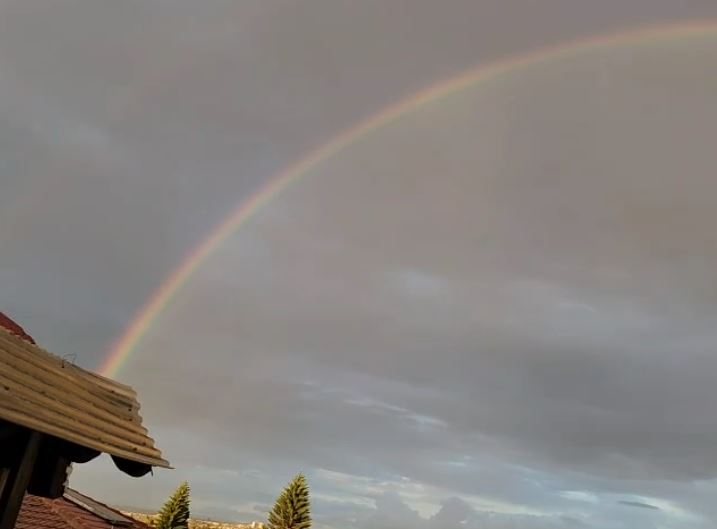 צילום מערכת