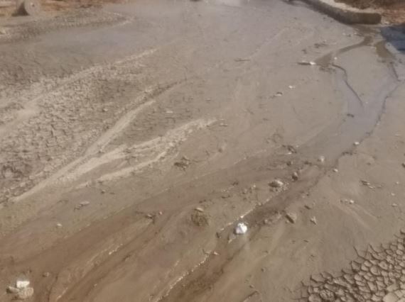 צילום מערכת