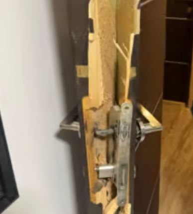 צילום: דוברות המשטרה