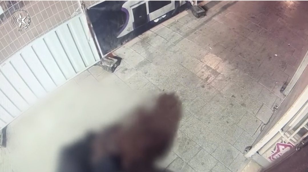 דוברות משטרה