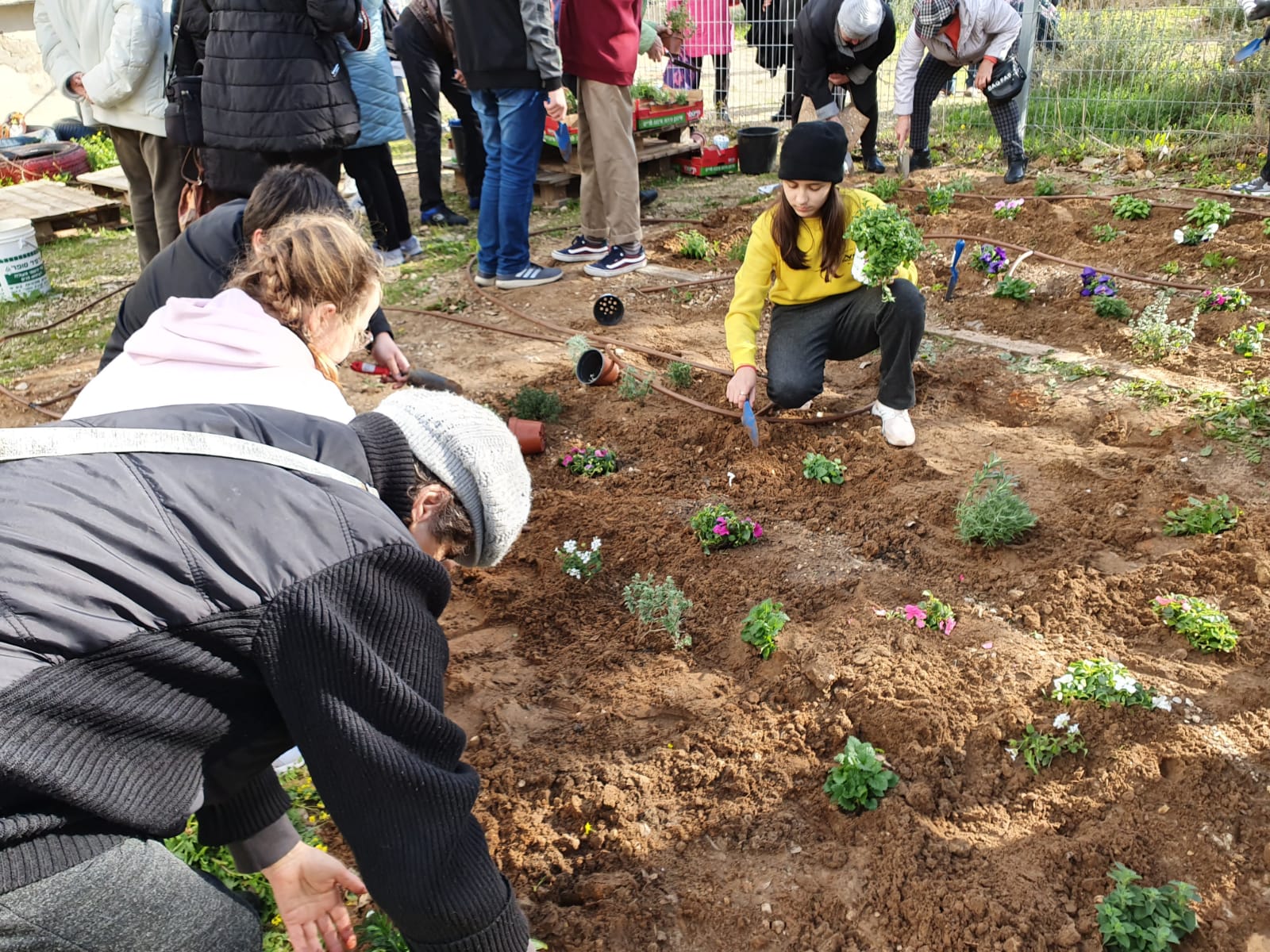 עיריית בת-ים