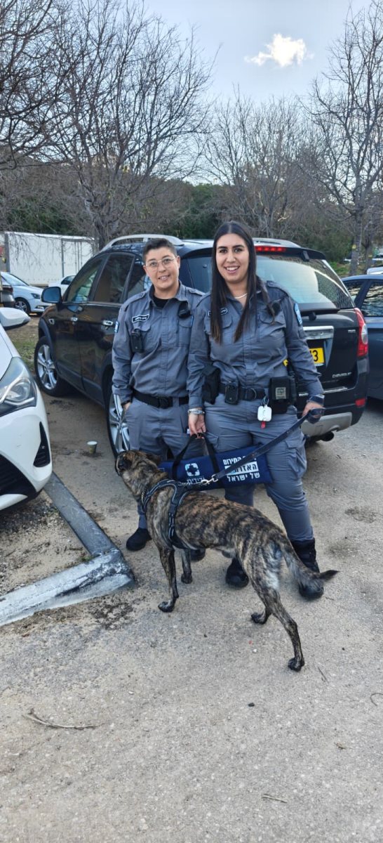 דוברות משטרה