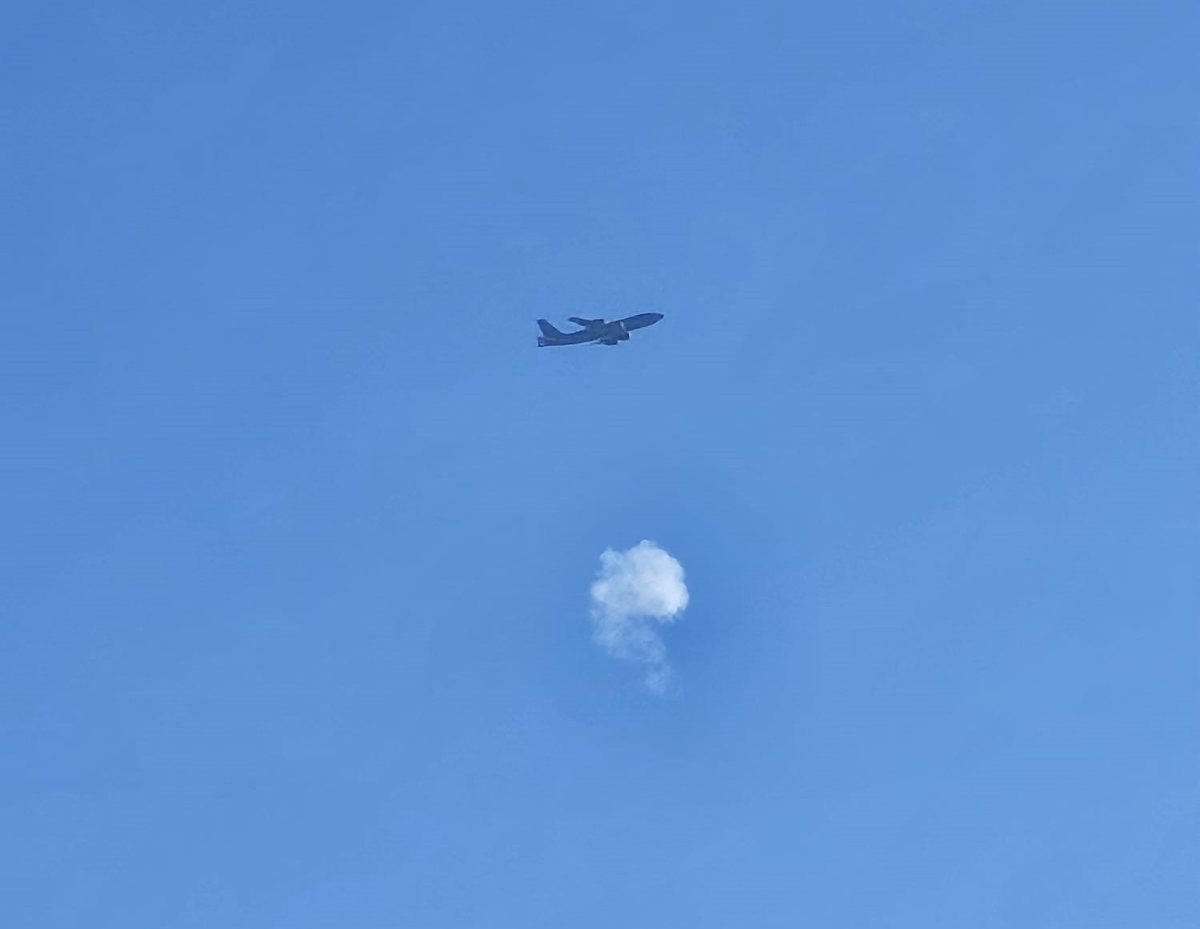 קרדיט דוד סבריאגו