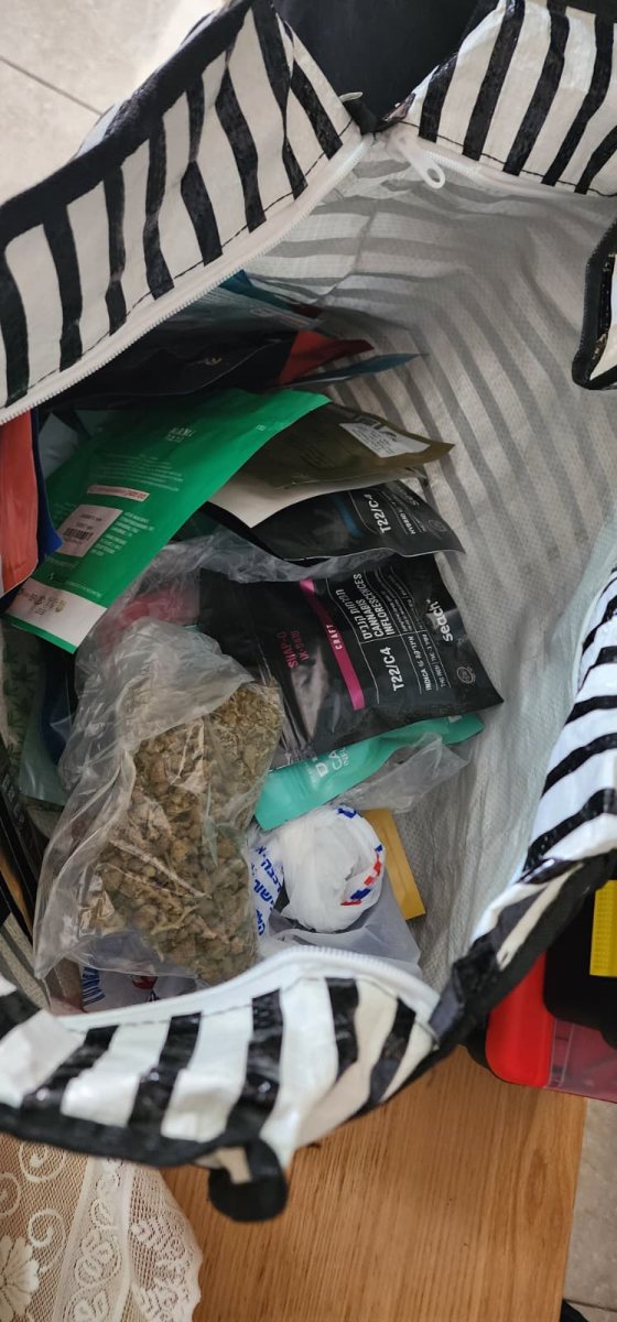 דוברות משטרה