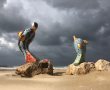 רוחות עזות וגשמים חזקים באשדוד; 10 עצים קרסו ברחבי העיר