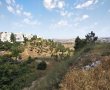 "ימין ה' רוממה": היזמים הכפיפו את הפרויקט ל'דעת תורה'