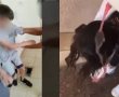 גל האלימות הגיע גם לבתי הספר: משרד החינוך יערוך דיון חירום
