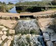 טיול שלהי הקיץ ופריחת הסתיו בשרון