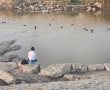 טיולים בחינם של רשות הטבע והגנים? לא לשומרי שבת
