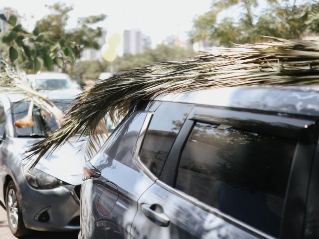 צילום: מריה ריבין